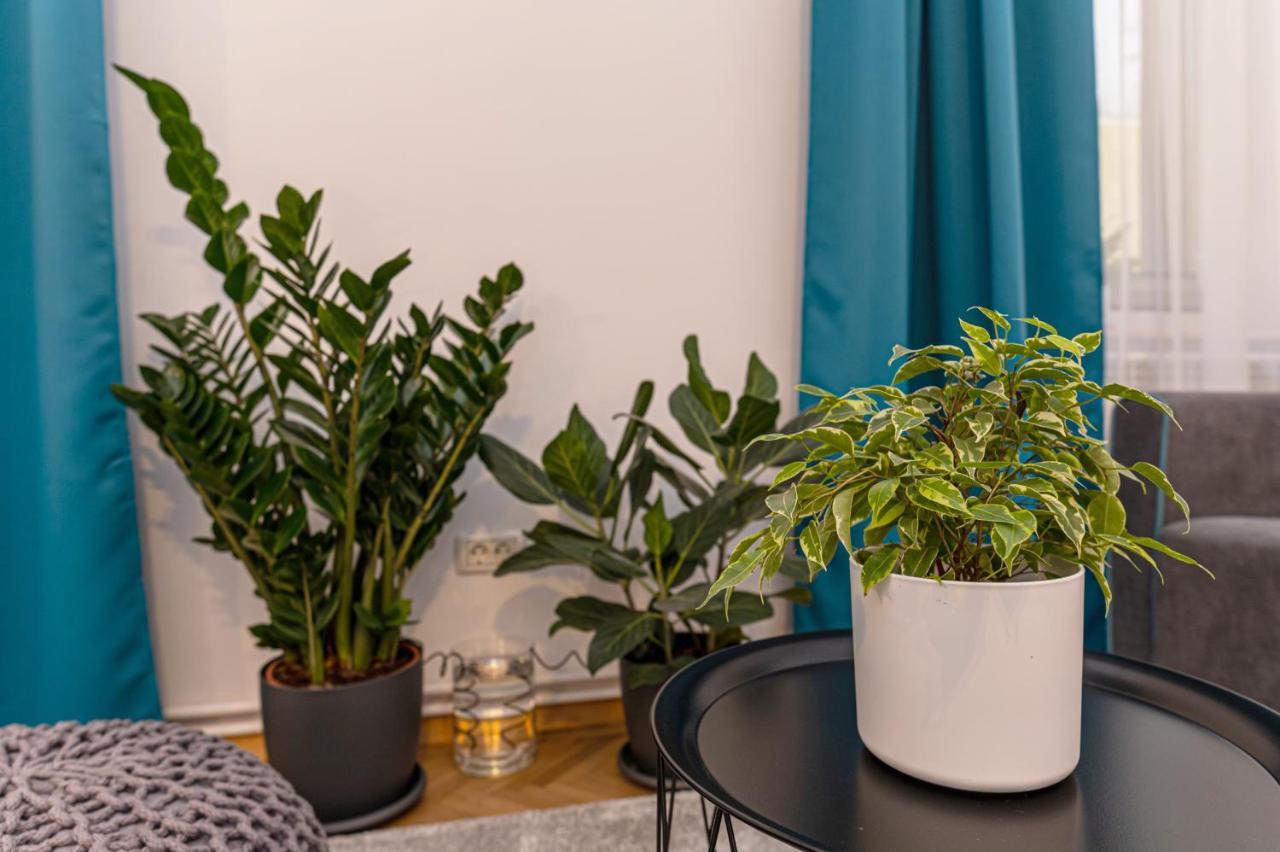 Garden Hideout - Central Apartment Braşov Buitenkant foto